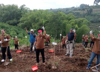 Hutan Reborn Tandai Ulang Tahun ke-6 Rayz Hotel UMM