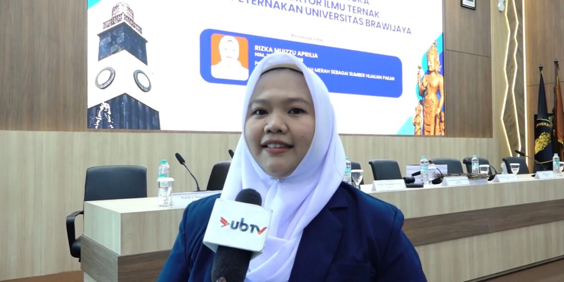 Doktor Fapet UB Teliti Rumput Gajah Merah untuk Pakan Fungsional Ruminansia