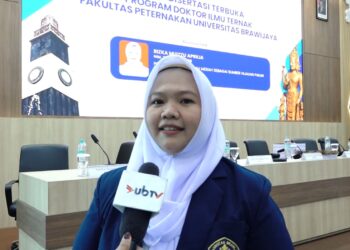 Doktor Fapet UB Teliti Rumput Gajah Merah untuk Pakan Fungsional Ruminansia