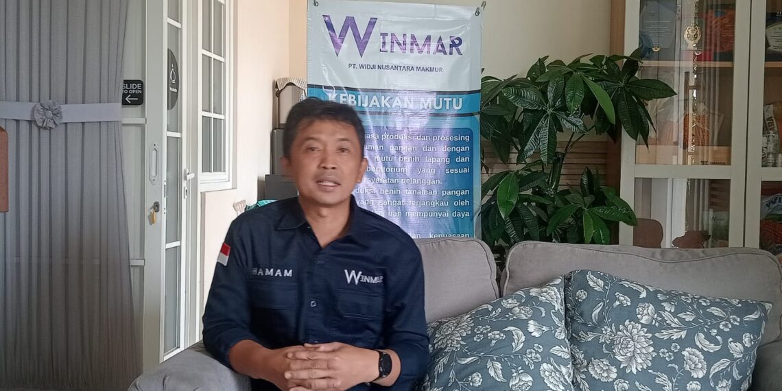 Pilihan Kedua Berbuah Brand Benih Unggul