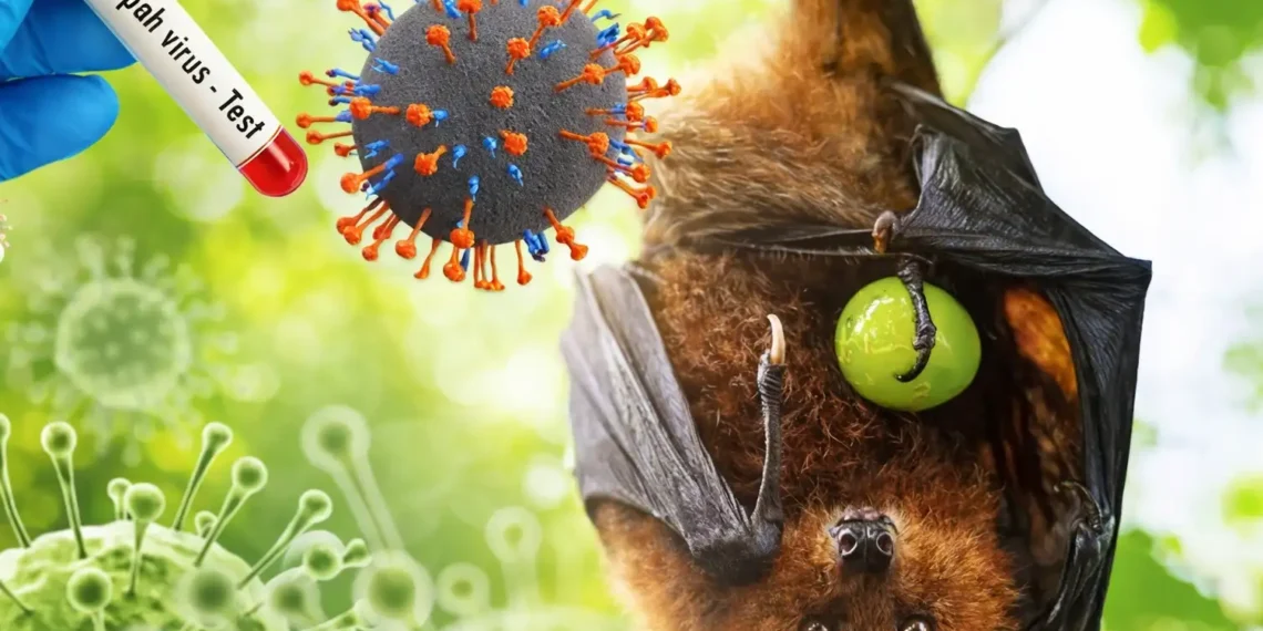 Antisipasi Virus Nipah Lewat Kesiapan Fasilitas Kesehatan