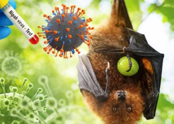 Antisipasi Virus Nipah Lewat Kesiapan Fasilitas Kesehatan