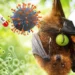 Antisipasi Virus Nipah Lewat Kesiapan Fasilitas Kesehatan