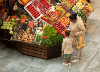 Strategi Digital BLUD Percepat Belanja Barang dan Jasa