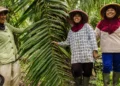 Kontribusi Pekerja Perempuan di Balik Industri Sawit