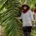 Kontribusi Pekerja Perempuan di Balik Industri Sawit