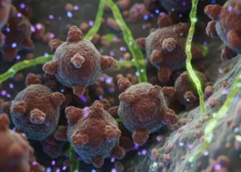 Mengenal Virus Nipah, Ancaman Zoonosis dengan Risiko Kematian Tinggi