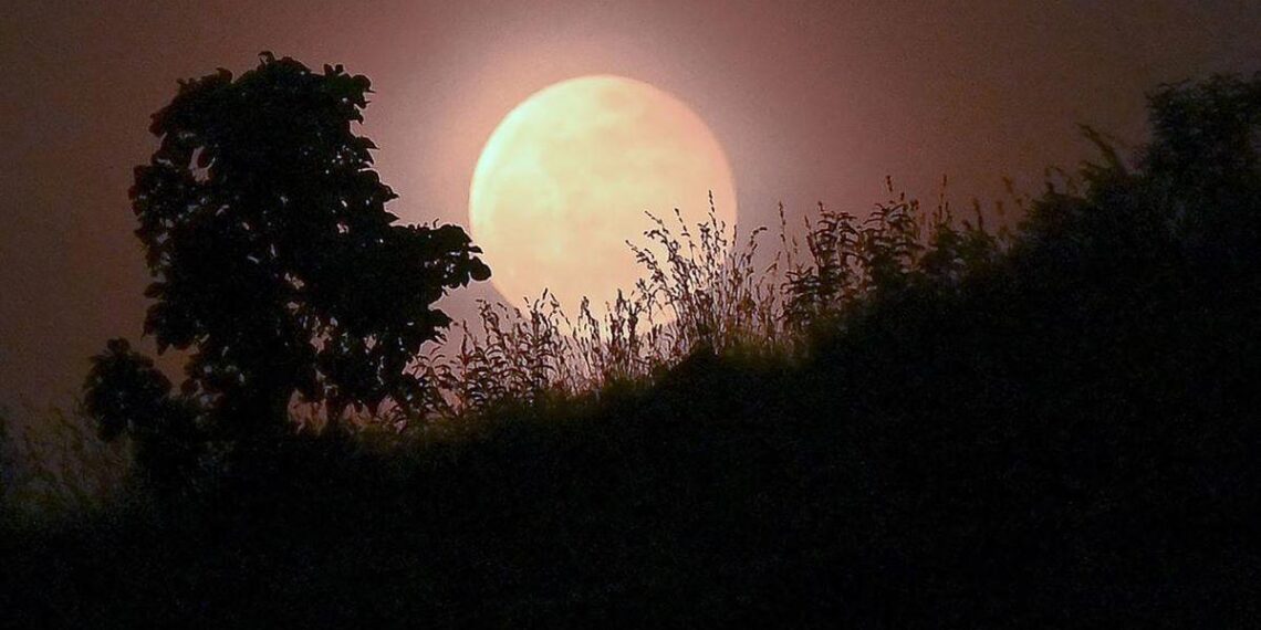 Fenomena Pink Moon April 2026 Hiasi Langit Indonesia