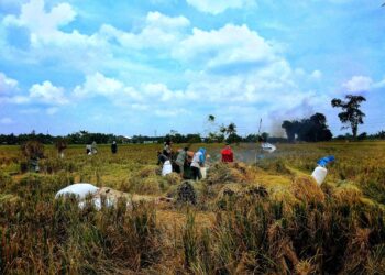 Paradoks Lumbung Pangan: 8,05 Persen Warga Jatim Masih Kekurangan Konsumsi Energi