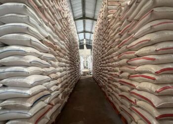 Stok Beras Nasional Diproyeksi Tembus 5 Juta Ton