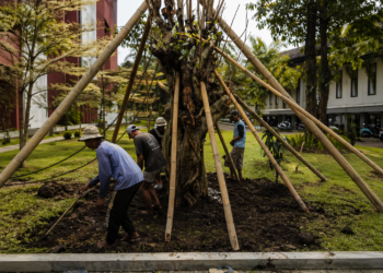 UB Tanam 42 Pohon Langka, Perkuat Komitmen Hadapi Krisis Iklim