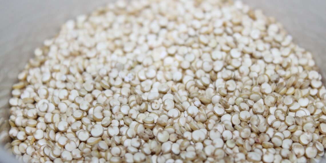 Ini Opsi Pengganti Nasi untuk Diet Kenyang