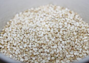 Ini Opsi Pengganti Nasi untuk Diet Kenyang