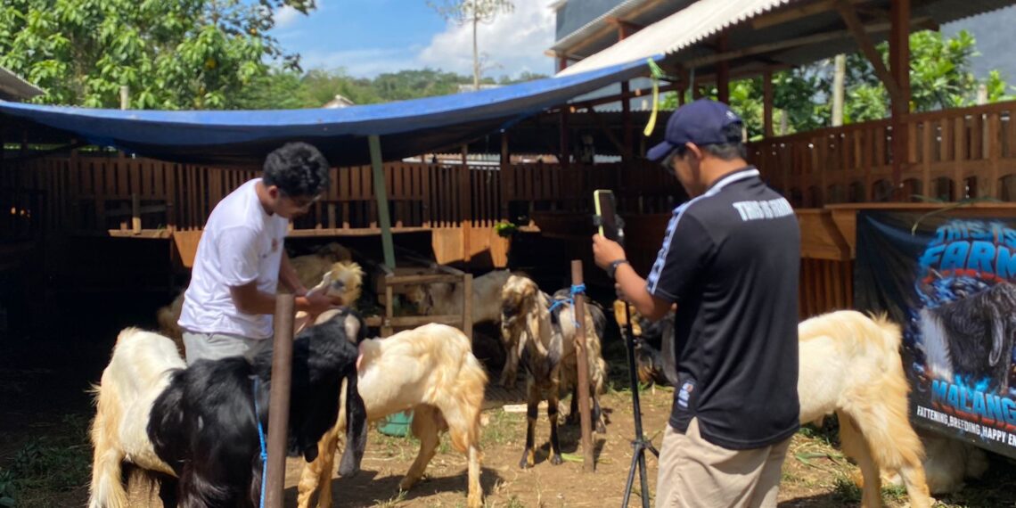 Nilai Ekonomi Kurban 2026 Diprediksi Melemah, Daya Beli Masyarakat Tertekan