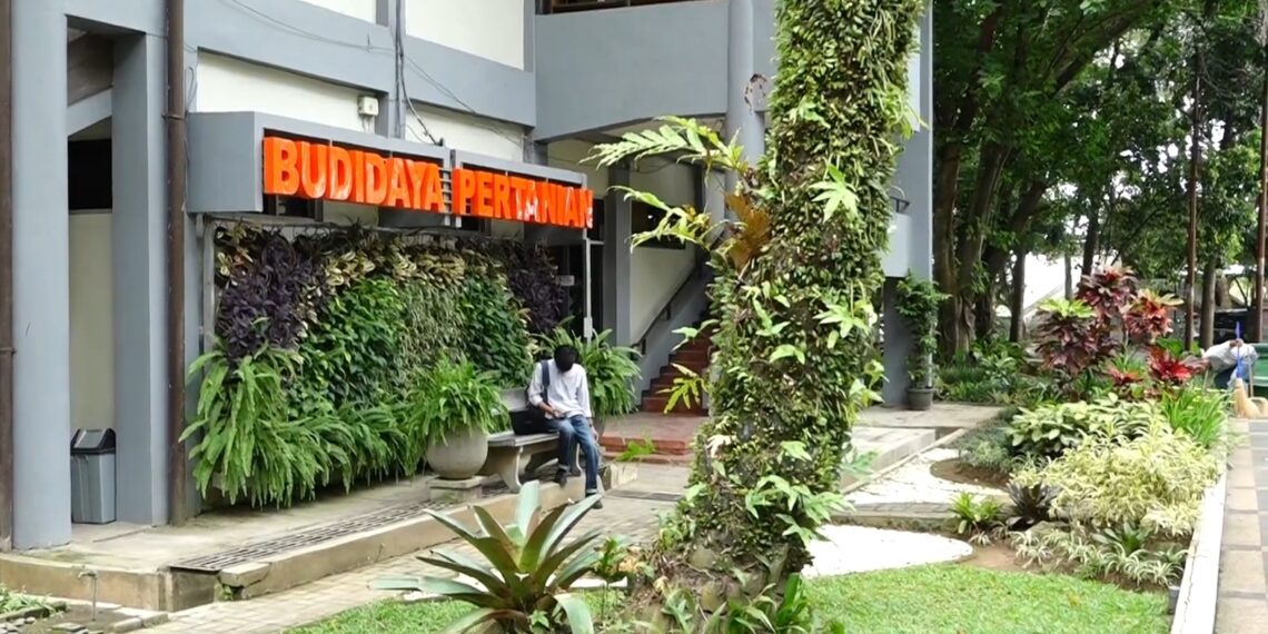 Magister Agronomi UB Tancap Gas ke Level Global Lewat Riset Tropis