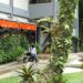Magister Agronomi UB Tancap Gas ke Level Global Lewat Riset Tropis