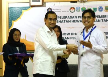 UB Terjunkan Hampir 1.000 Mahasiswa dan Dosen Kawal Hewan Kurban, Waspadai PMK hingga Cacing Hati