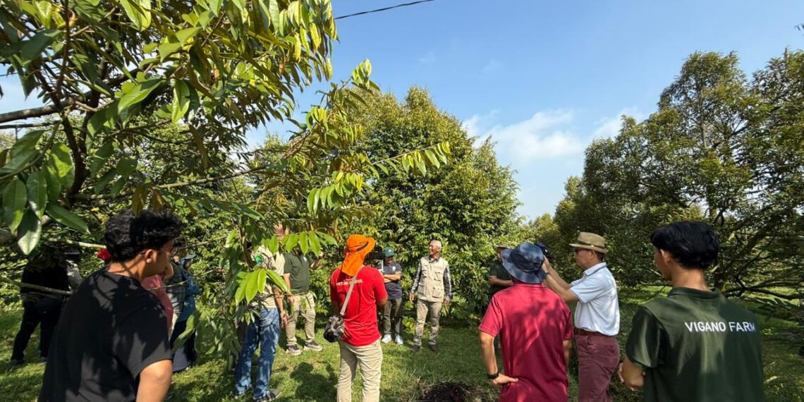UB dan AKDI Satukan Kekuatan, Bangun Sentra Bibit Durian untuk Pasar Internasional