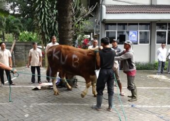 FK UB Salurkan Hewan Kurban untuk Warga dan Panti Asuhan