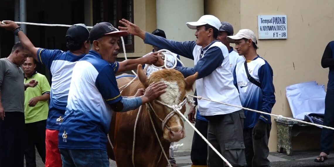 Festival Kurban FT UB Perkuat Solidaritas Sosial Kampus