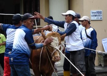 Festival Kurban FT UB Perkuat Solidaritas Sosial Kampus