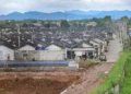 Rumah Subsidi FLPP Makin Diminati Milenial dan Gen Z