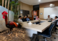 Ayam Pelung Tak Boleh Tinggal Cerita, FAST UB dan HIPPAPI Perkuat Masa Depan Plasma Nutfah Lokal