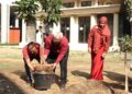 FH UB Perkuat Smart Green Campus Lewat Penghijauan