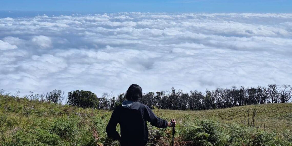 5 Gunung di Malang Ramah Pemula, Cocok untuk Healing Weekend