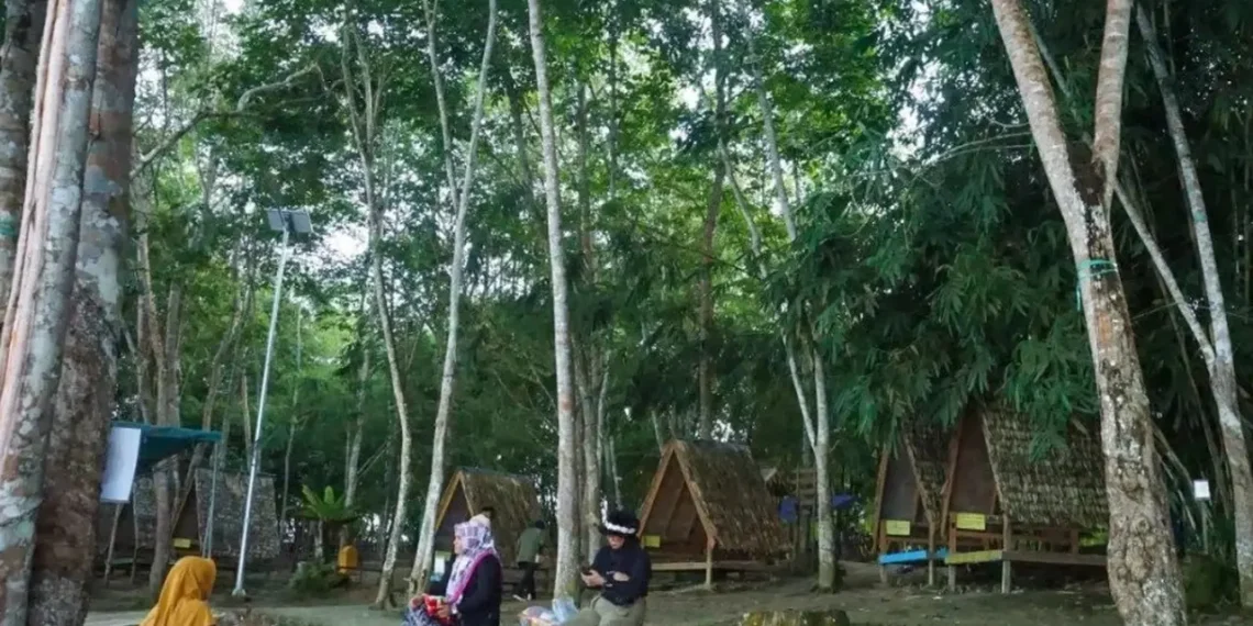 Hutan Lestari di Kaltim Hasilkan Rp8,1 Miliar, Bukti Konservasi Bisa Jadi Mesin Ekonomi Warga