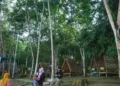 Hutan Lestari di Kaltim Hasilkan Rp8,1 Miliar, Bukti Konservasi Bisa Jadi Mesin Ekonomi Warga