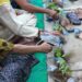KKN FBiPK UB Ajak Warga Argosuko Manfaatkan Limbah Plastik