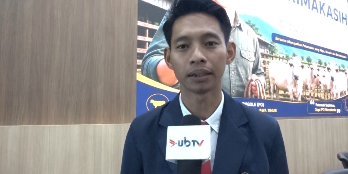 Mutu Genetik Sapi PO Terancam, Disertasi FAST UB Tawarkan Arah Baru Pemuliaan Ternak Lokal