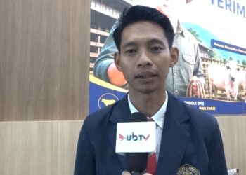 Mutu Genetik Sapi PO Terancam, Disertasi FAST UB Tawarkan Arah Baru Pemuliaan Ternak Lokal