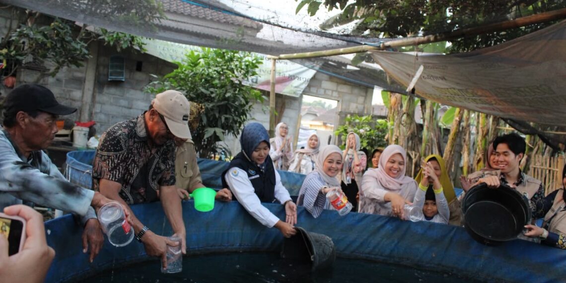 Mahasiswa KKN UB Tebar 2.500 Bibit Lele untuk Perkuat Ketahanan Pangan Desa
