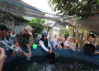 Mahasiswa KKN UB Tebar 2.500 Bibit Lele untuk Perkuat Ketahanan Pangan Desa