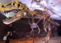 Fosil T-Rex “Gus” Pecahkan Rekor, Laku Rp905 Miliar di Lelang New York
