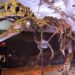 Fosil T-Rex “Gus” Pecahkan Rekor, Laku Rp905 Miliar di Lelang New York