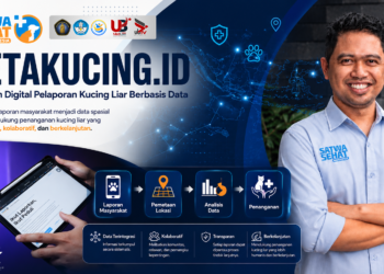 Petakucing.id Ubah Laporan Kucing Liar Jadi Data Penanganan.