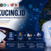 Petakucing.id Ubah Laporan Kucing Liar Jadi Data Penanganan.