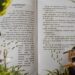 Praaak! Pyuuur! Karya Alumni UB Angkat Tradisi Berburu Belalang Banyuwangi Lewat Buku Anak