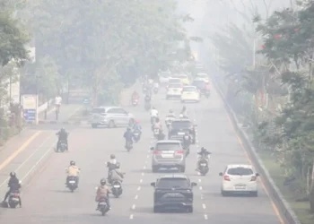 Asap Karhutla Mengancam Kesehatan, Ini Risikonya