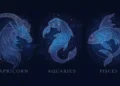 Capricorn Aquarius Pisces, Saatnya Menata Diri