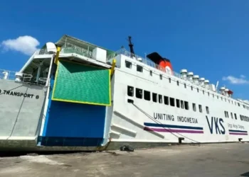 Kapal Virgo Terbalik, Penumpang Berjuang Selamat