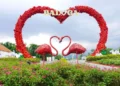 8 Taman Bunga di Malang yang Cocok untuk Healing