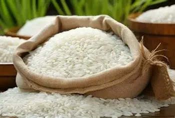 Stok Beras Nasional 25–26 Juta Ton, Pemerintah Pastikan Aman hingga Maret 2027