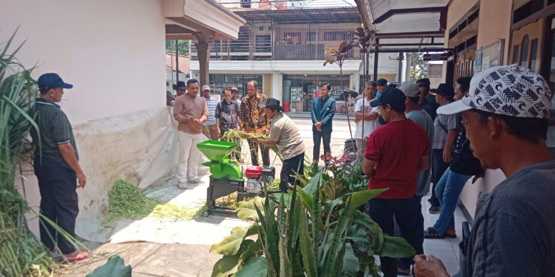 Limbah Pertanian di Kediri Diolah Jadi Pakan dan Pupuk oleh FT UB