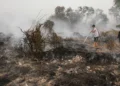 BPGMN Diuji Cegah Karhutla Berulang