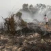 BPGMN Diuji Cegah Karhutla Berulang