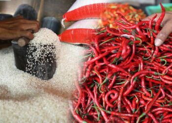 Harga Cabai Melonjak, Inflasi September 2026 Diperkirakan Naik